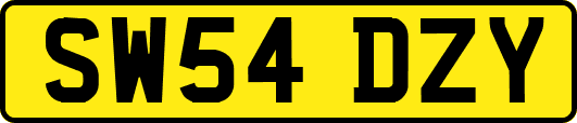 SW54DZY