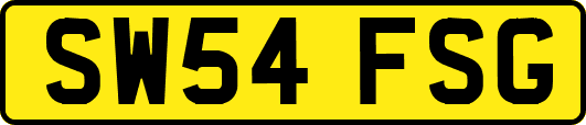 SW54FSG