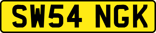 SW54NGK