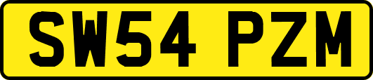 SW54PZM