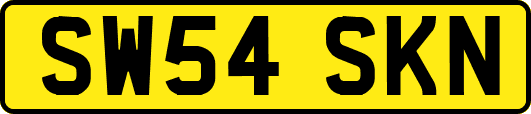SW54SKN