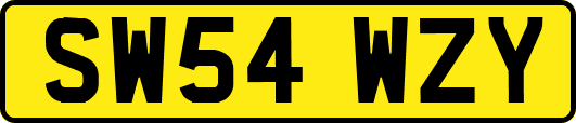 SW54WZY
