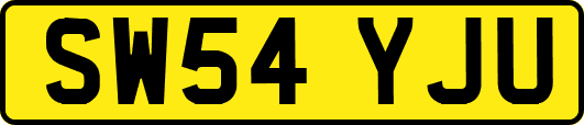 SW54YJU