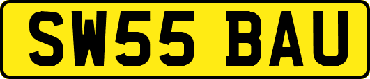 SW55BAU