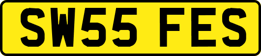 SW55FES