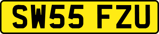 SW55FZU
