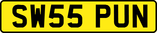 SW55PUN