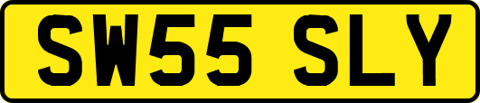 SW55SLY