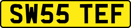SW55TEF