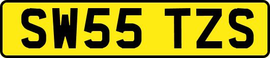 SW55TZS