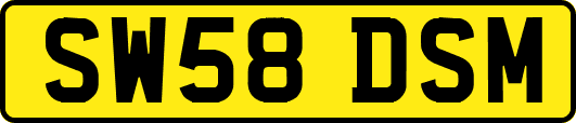 SW58DSM