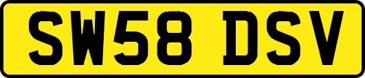 SW58DSV