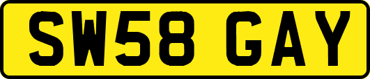 SW58GAY