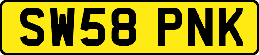 SW58PNK