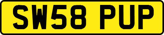 SW58PUP