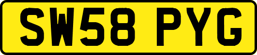 SW58PYG
