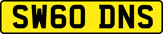 SW60DNS
