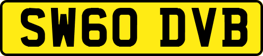 SW60DVB