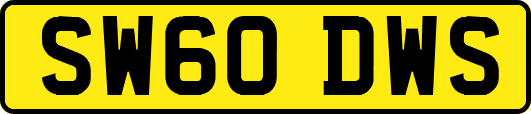 SW60DWS