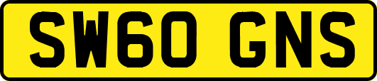 SW60GNS