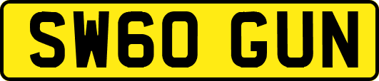 SW60GUN