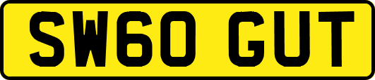 SW60GUT