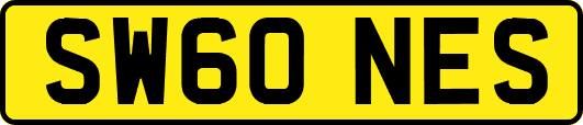 SW60NES