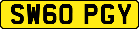 SW60PGY