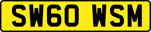 SW60WSM