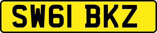 SW61BKZ