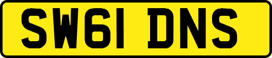 SW61DNS