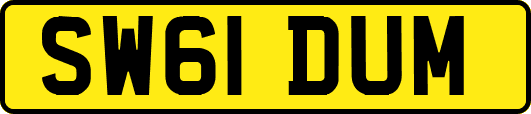 SW61DUM