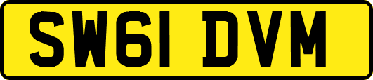 SW61DVM