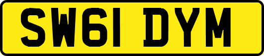 SW61DYM