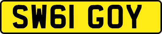 SW61GOY
