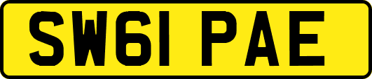 SW61PAE