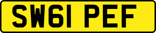 SW61PEF