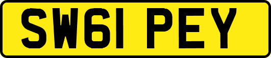 SW61PEY