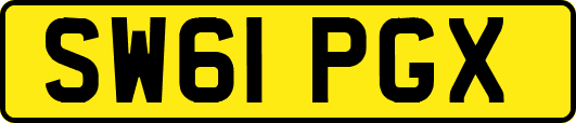 SW61PGX