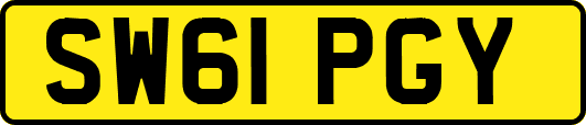 SW61PGY