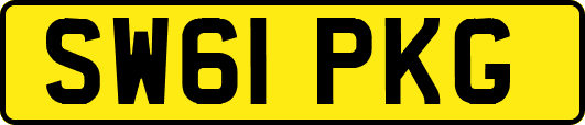 SW61PKG
