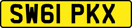 SW61PKX