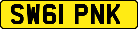 SW61PNK