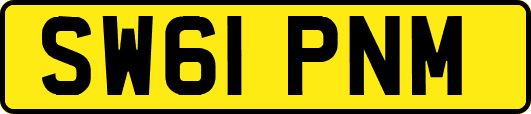 SW61PNM
