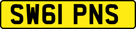 SW61PNS