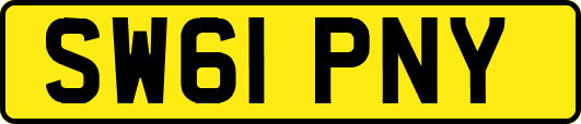 SW61PNY