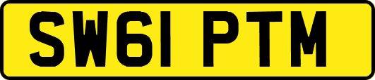 SW61PTM
