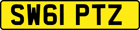 SW61PTZ