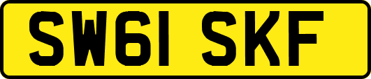 SW61SKF