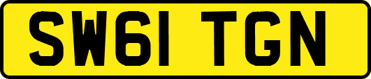 SW61TGN